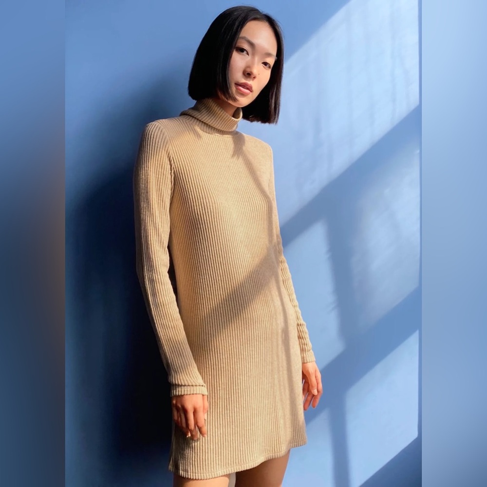 Aritzia The Group by Babaton Victoria Dress